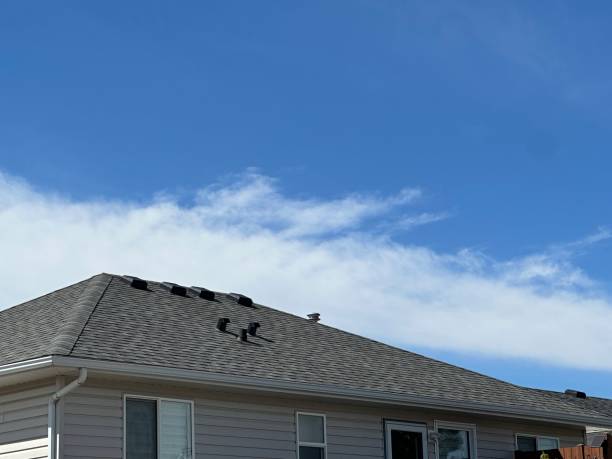 Best Gutter Installation and Repair  in West Springfield, VA